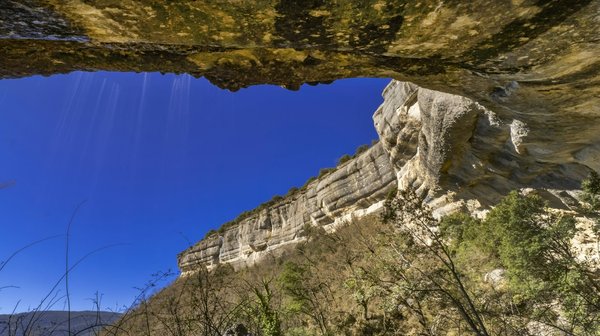 What's the Ideal Camber Setting for a Mazda MX-5 Miata for Daily Driving and Occasional Autocross?